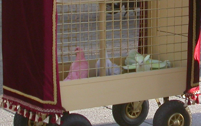 Piet's pigeons