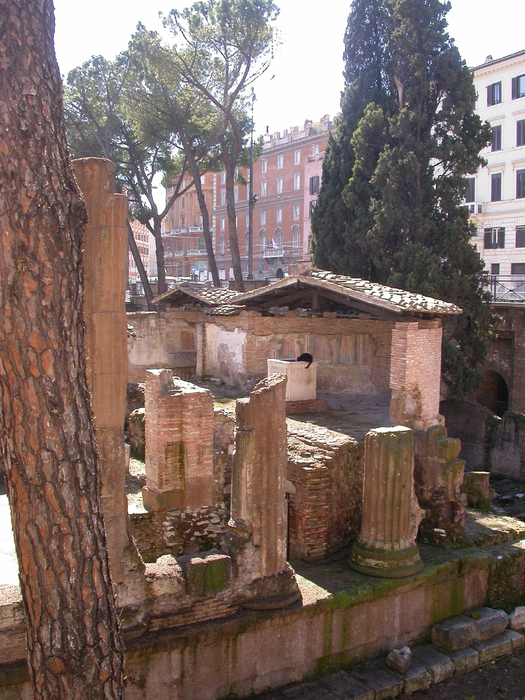 Largo Argentina temple A, remains of church