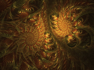 elder footprints fractal