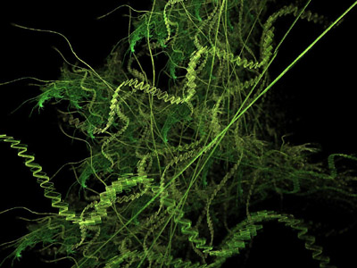 seaweed fractal